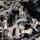 CAE Shifter Mitsubishi Lancer EVO8-9 6-Gang