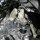 CAE Ultra Shifter Citroen C2 S 1600 & Peugeot 207 / MA