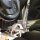 CAE Ultra Shifter "RACE" AUDI A3/S3 8L/8P  TT 8N/8J